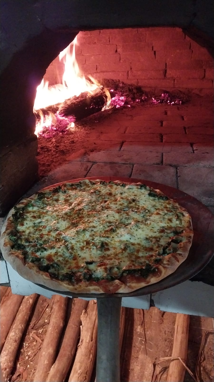 forno